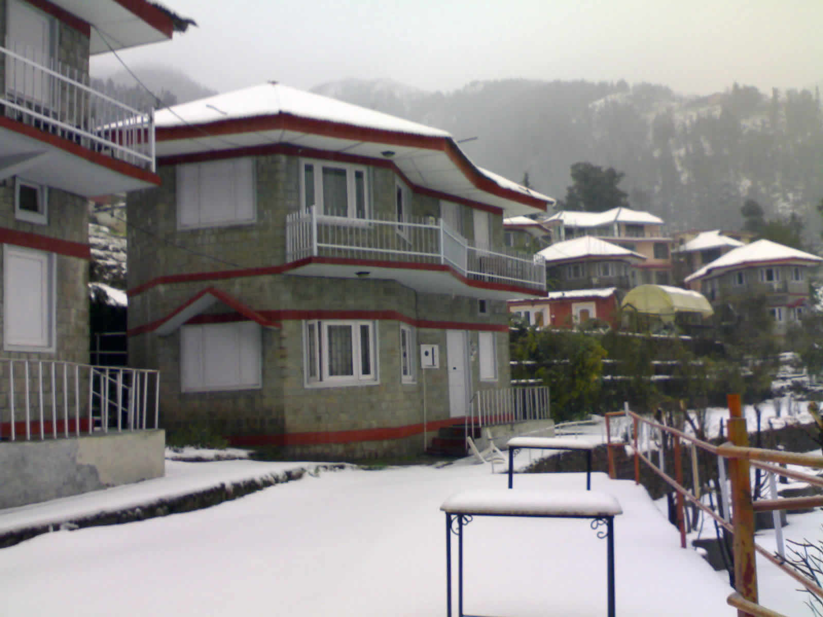 Snowfall - Hotel Devcottage Dharamkot Dharamshala Himachal Pradesh Gallary - 1