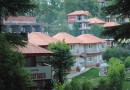Greenary All Around - Hotel Devcottage Dharamkot Dharamshala Himachal Pradesh Gallary - 1