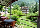 Hanging Around - Hotel Devcottage Dharamkot Dharamshala Himachal Pradesh Gallary - 4